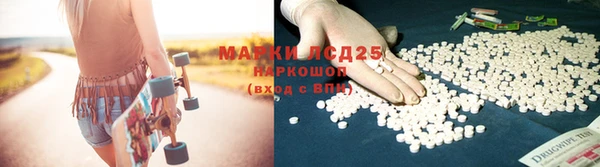 дживик Богданович