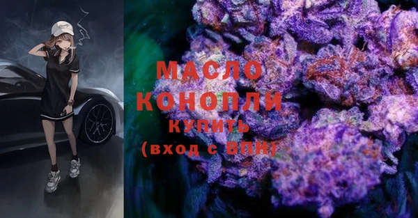 гашик Бородино