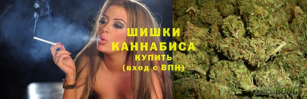 дживик Богданович